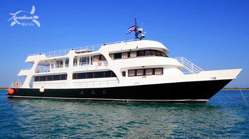 Jardines Avalon F 2