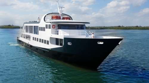 Jardines Avalon 2