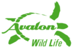 Avalon Wild Life